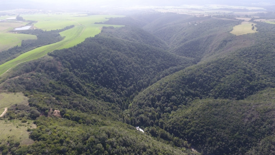  Bedroom Property for Sale in Knysna Rural Western Cape